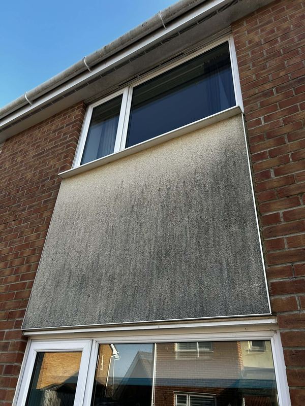 Exterior render wall before cleaning showing algae and dirt staining, Isle of Wight